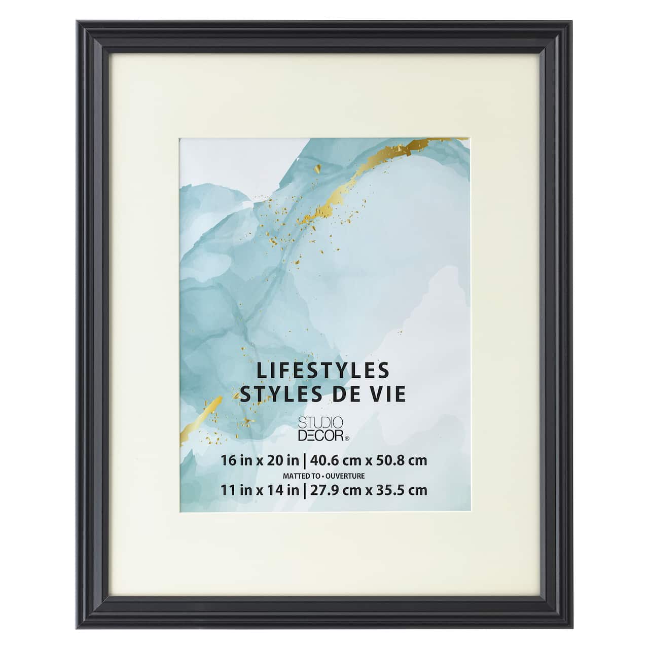 Black Large Frame With Mat, Lifestyles™ by Studio Décor®